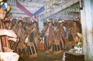 The bines dance came from Blangkerejeren Gayo lues Regency.Photos-Flick