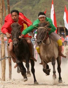 Two jockeys Childrens  encouraged his horse in the traditional race that took place in the Blang Bebangka Village, Pegasing District, Middle Aceh. Serambi/Hari Teguh Patria